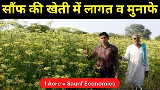 सौंफ की खेती में कुल लागत और फायदे (1 एकड़) | Saunf Economics (Fennel) | Krishi Network screenshot 4