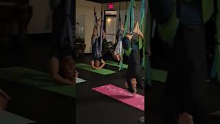 upside down  feel amazing  #yogatrapezehealth#yogabody #backpainrelief #yogatrapeze#ariel #play