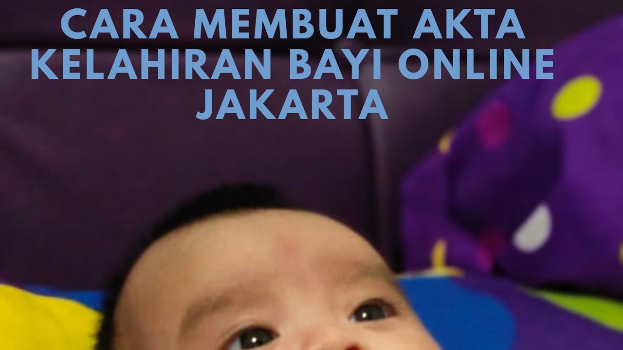 Cara Membuat Akta Kelahiran Online Jakarta | Aplikasi Alpukat Betawi