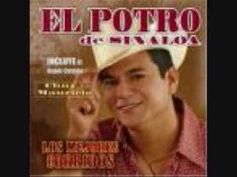 El Potro De Sinaloa - Alfredo Beltran (El Mochomo)