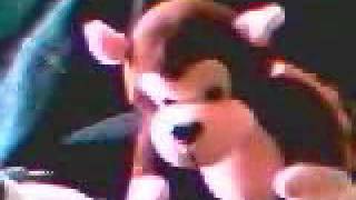 The Monkey & Cow remix