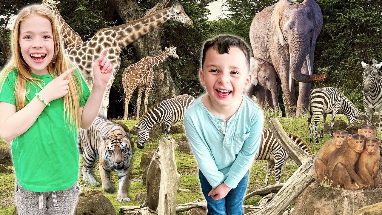 Going on an ANIMAL ADVENTURE !!! YouTube