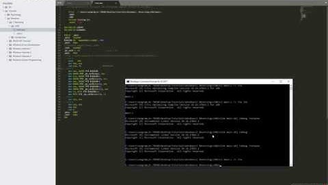 04 Reverse Engineering Windows Binaries (C Programming - Arrays)