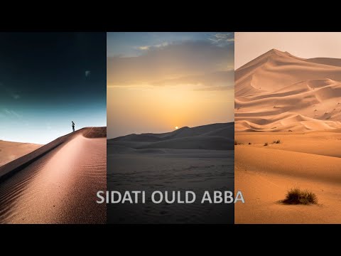 تمبر زينة من روائع الفنان الكبير سيداتي ولد ايدا