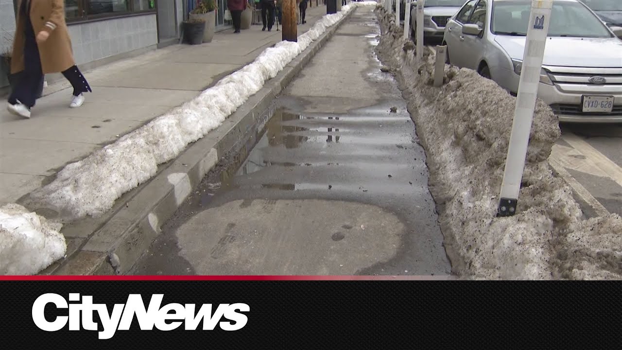 Several Etobicoke businesses sue city over Bloor bike lanes