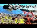 【トレジャーハンター】台風後の海岸でまさかの漂着物登場！？絶対に面白い宝探し！！～S級駄菓子ハケ編 #28～