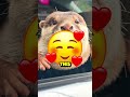 Ш ЫЊЩ ШґШ ЫЊШЇ ШЁШЇШґШ Щ Ші ШЄШ ЫЊЩ Щ Ш ШЇ ШІЩ ШЇЩ ШЁШ ШґШЇ рџ ЂрџЄ Ш ЫЊЩ ШґШ ЫЊШЇ ШЁШЇШґШ Щ Ші ШЄШ ЫЊЩ Щ Ш ШЇ ШІЩ ШЇЩ ШЁШ ШґШЇ рџ ЂрџЄ
