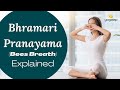 Bhramari pranayama  bees breath  pranayama with michal bijker