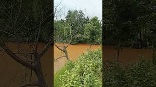 saawan Aaya Baadal chaaya,, Sadhana sa,,,,,