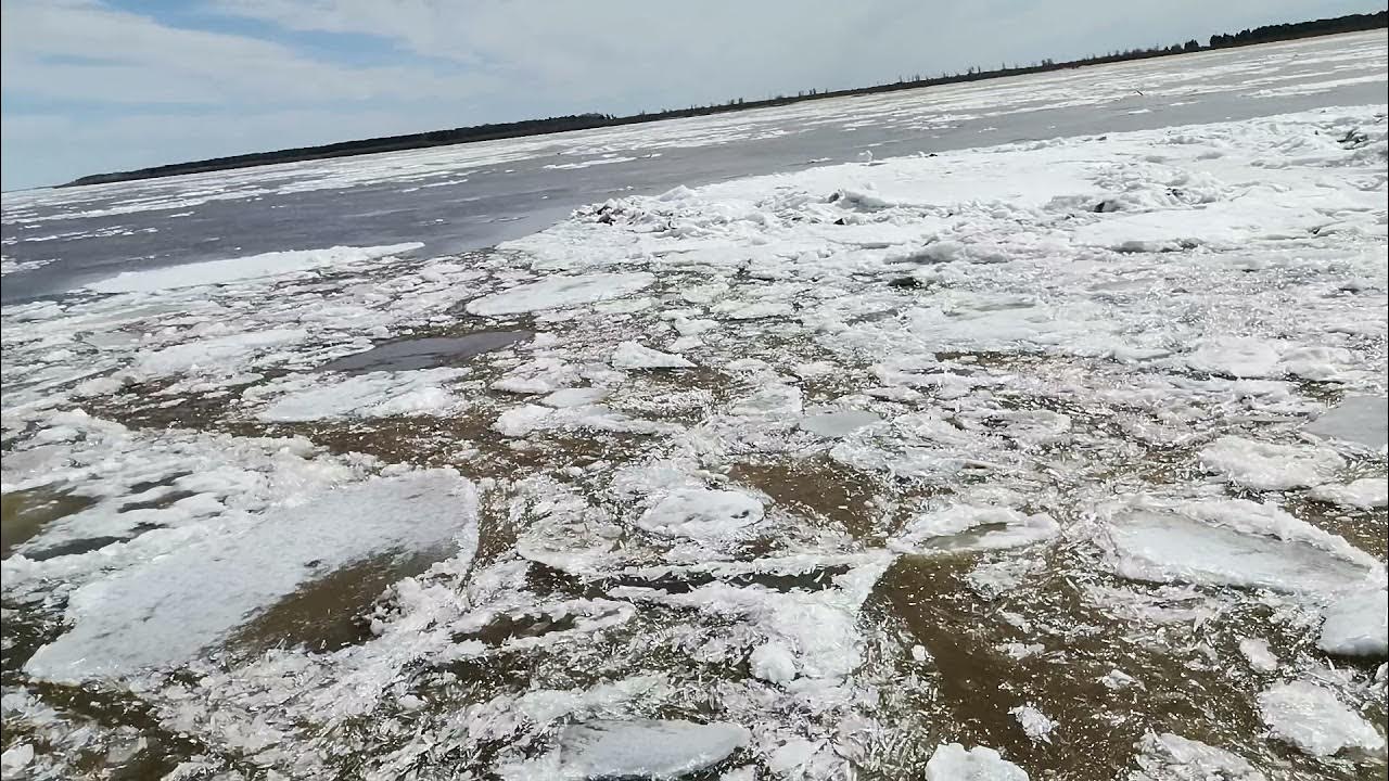 Регионы рф ледостав. Река обь нижневартовск. Продолжительность ледостава обь. Река обь весной. Продолжительность ледостава обь.