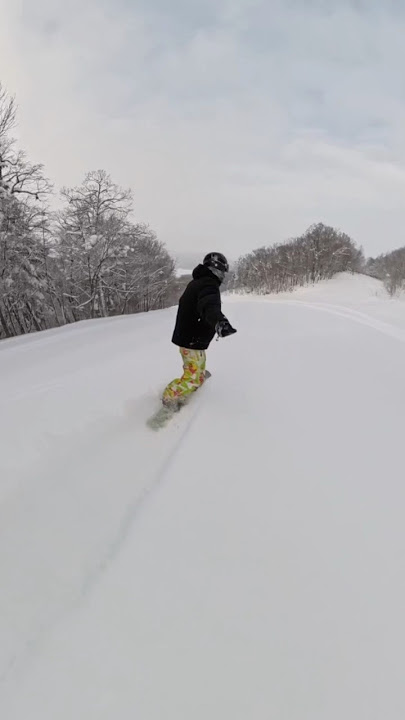 Hokkaido POW WOW! #shorts #snowboarding