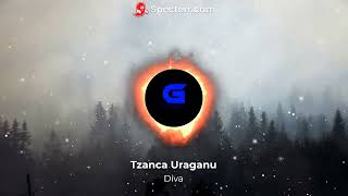 Tzanca Uraganu Diva B Boosted