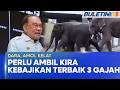 GAJAH MALAYSIA DI JEPUN | Keputusan Perlu Ambil Kira Kebajikan Terbaik Dara, Amoi &amp; Kelat - PM (BU)