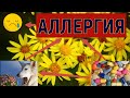 АЛЛЕРГИЯ ⚠ Как я вылечился. Причины и Лечение. Личный опыт  20 лет//1