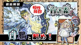 【白鴉】白き森と相性抜群！ 白鴉型の構築＆展開を徹底解説！！