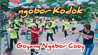 NGOBOR KODOK // senam kreasi // Choreo by B Ambon - Group ketapan ds ujung gebang