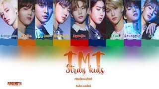 [Han|Rom|Ind] Straykids TMT Indo lirik