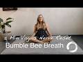 Bhramari Pranayama / Vagus Nerve Regulation Practice / 5 Min Reset