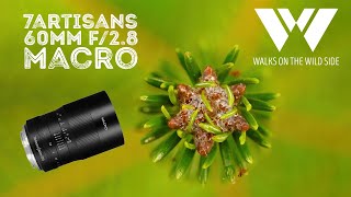 Best value macro lens? 7Artisans 60mm f/2.8 for APS-C and M4/3 MFT screenshot 5