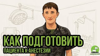 Как подготовить своего питомца к наркозу и операции?