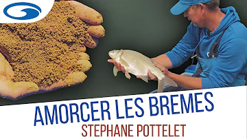 Comment bien pêcher la brème ?