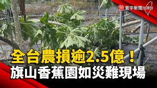 全台農損逾2.5億！旗山香蕉園如災難現場｜#寰宇新聞 ... 