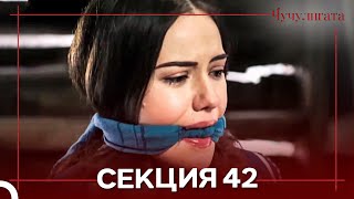 картинка: Чучулигата Cekция 42 (Дублирано на български)