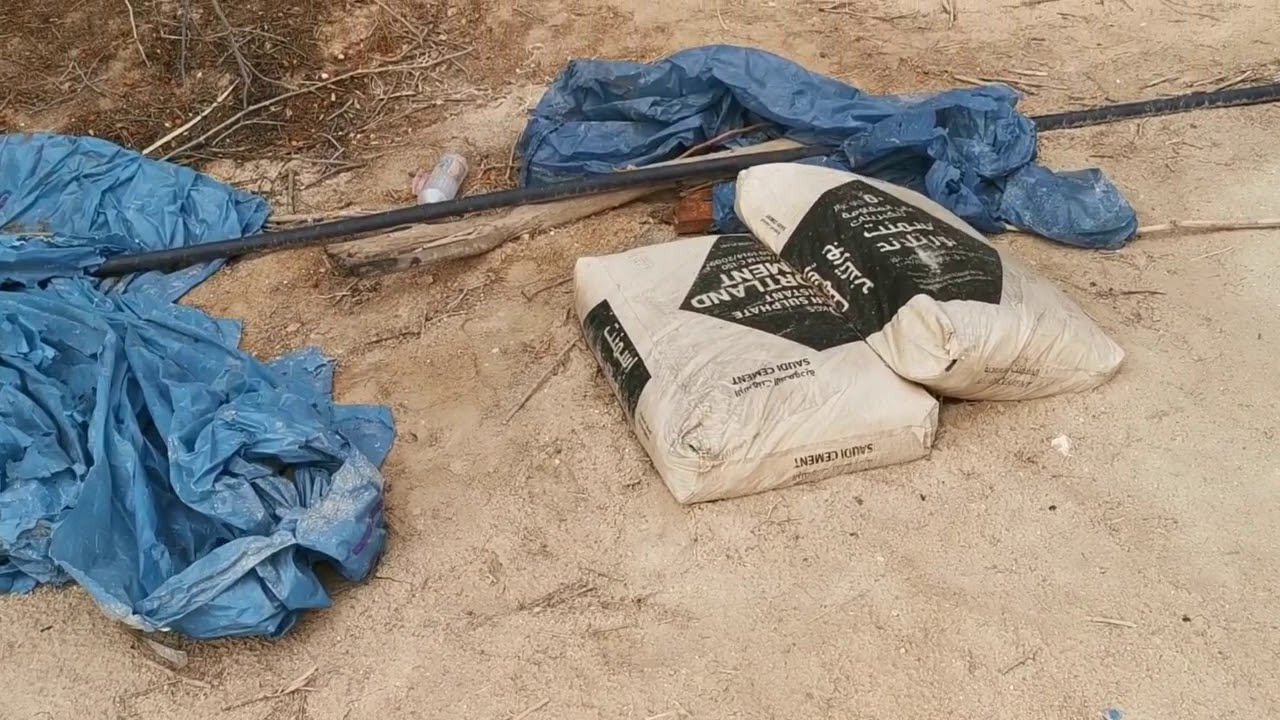 النخل والنحل في نجم سعد الأخبيه