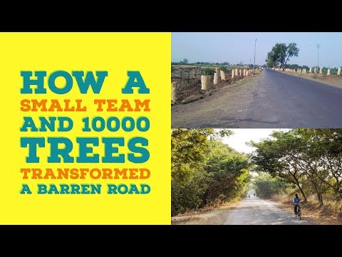 In 9 Years, Trees Have Transformed This Village near Shirdi