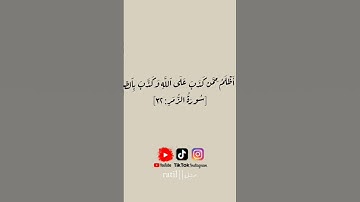 سورة الزمر||___بصوت القارئ الشيخ : ياسر الدوسري🎧🖤___ #قران_كريم #ياسر_الدوسري #قران_الكريم