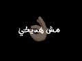 شاشه سوداء علي مهرجان قوليلي شو هالعود المقتري مودي امين وحلقولو