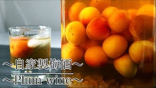 【自家製梅酒の作り方】 How to make japanese plum wine　【ネコノメレシピ】