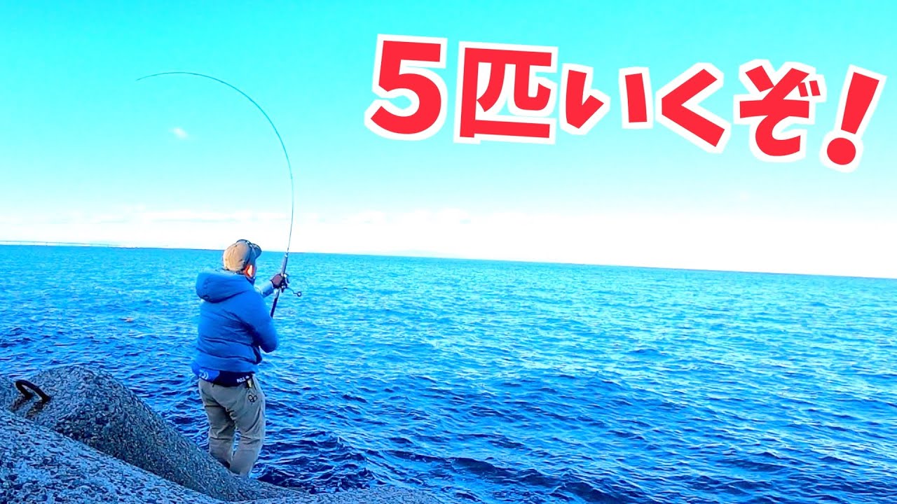 What I did to catch five yellowtail in one day - YouTube