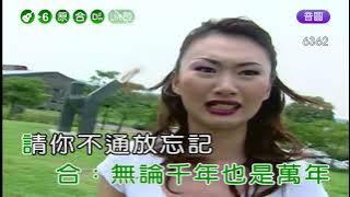 一條手巾仔~陳盈潔&沈文程~合原Dm井調~伴奏~導唱丙