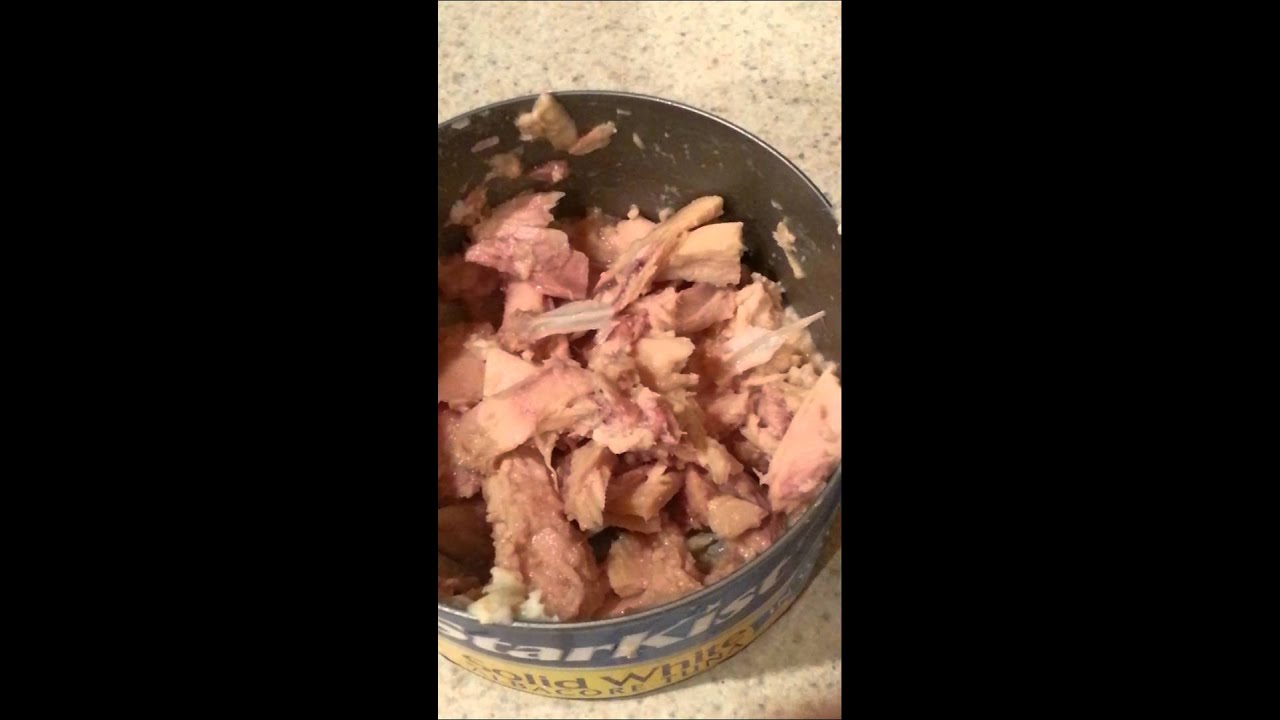 TUNA With Bones Starkist Albacore Tuna YouTube TUNA With Bones Starkist Albacore Tuna YouTube