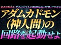 【並木良和さん】アダムカドモン(神人間)の回路を起動せよ~どこにいても24時間365日が休日になる