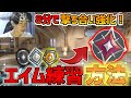 初心者からイモータルまで到達したエイム練習方法【VALORANT/ヴァロラント】
