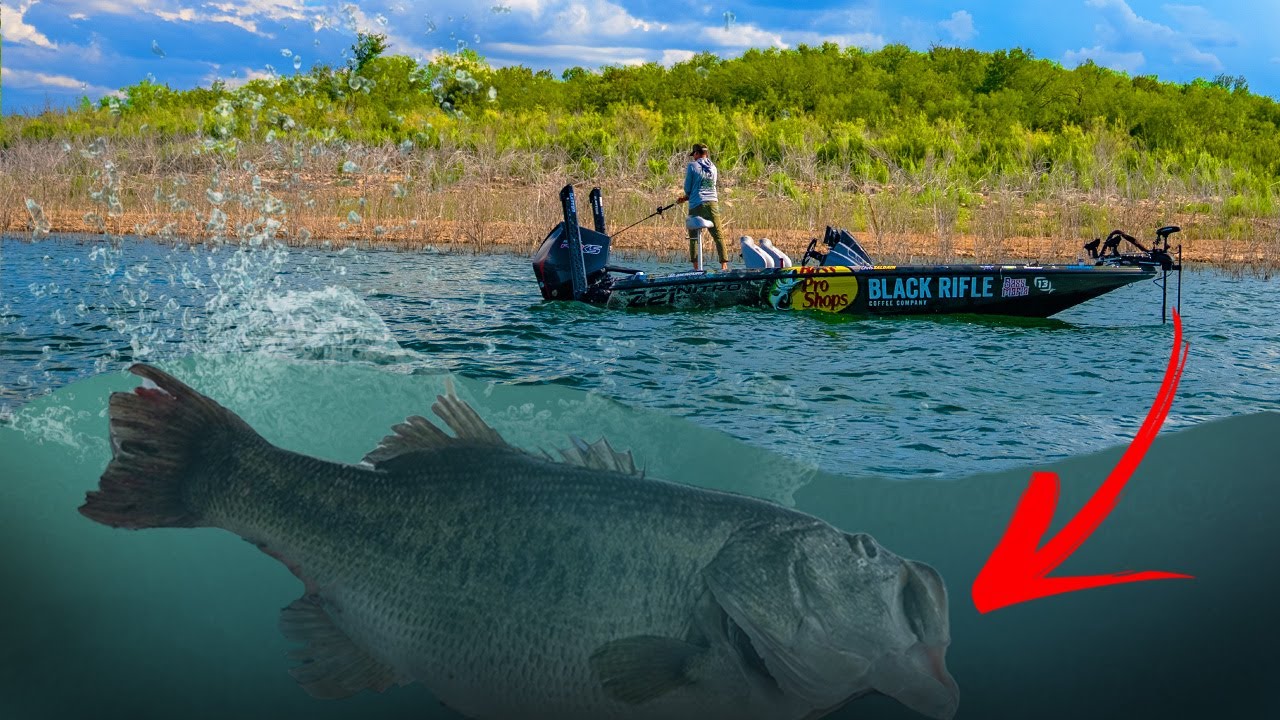 Мальчики отправились на рыбалку, О, АЙВИ!!
