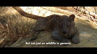 MER CEO Full Interview screenshot 3