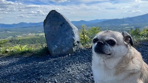 How many Hit-Markers in Hardcore?!