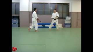 Film 2, Sakai Sensei, Shodokan Aikido, Osaka, 2010