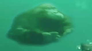 bruh