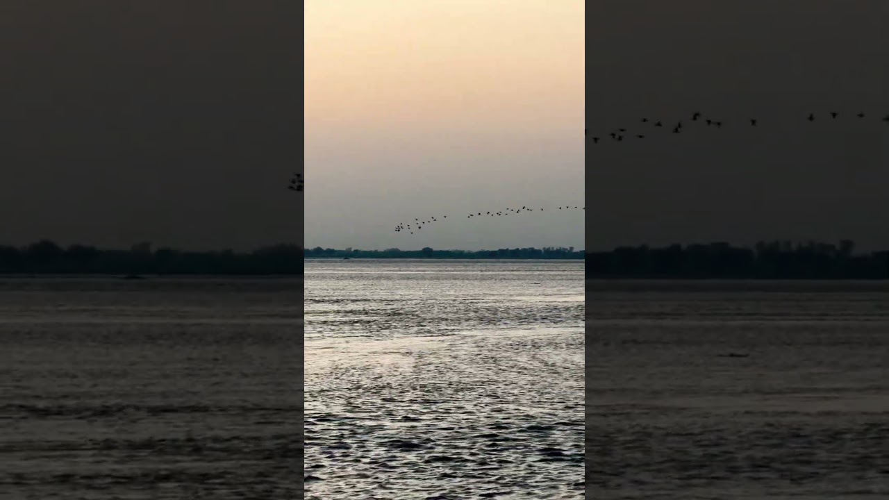 Shikar murghabi 🦆 | shukaib | khan 