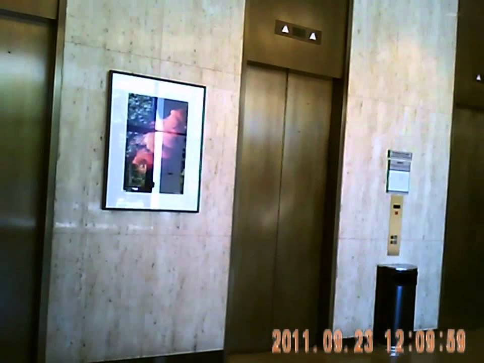 Cheaters Spy Shop 8GB Video Pen Camera