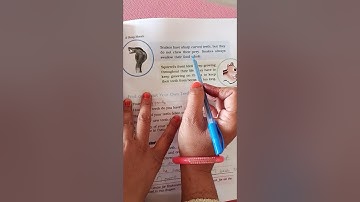 NKJ std 4  E V S  ch 16  part-3