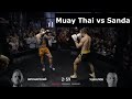 Sanda guy picks wrong strategy against muay thai guy