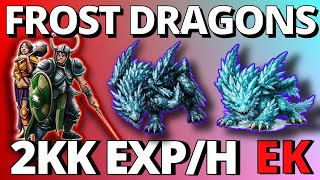 TIBIA GUÍA EK 100 + | 2KK EXP/H FROST DRAGONS OKOLNIR – Hunt Elite Knight