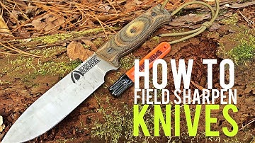 Sharpen Your Knife with a Speedy Sharp - Quick Tips