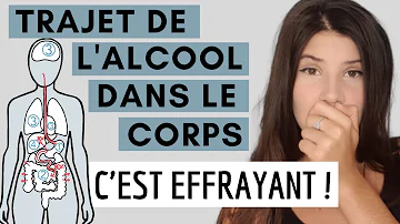 Comment se transforme l'alcool dans le corps ?