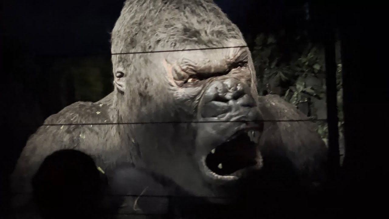 King Kong in Universal Studios Florida | 360* 4D Special Effect | Skull Island : Reign of Kong
